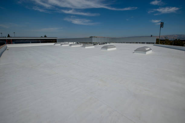 Skylights in Wray, CO