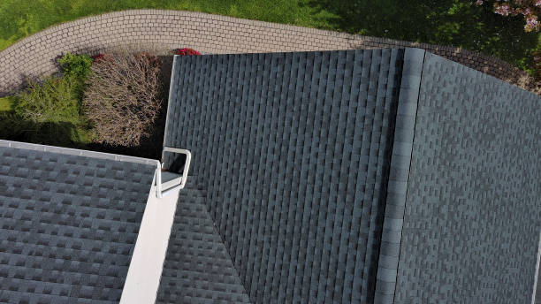 Best Roof Moss and Algae Removal  in Wray, CO