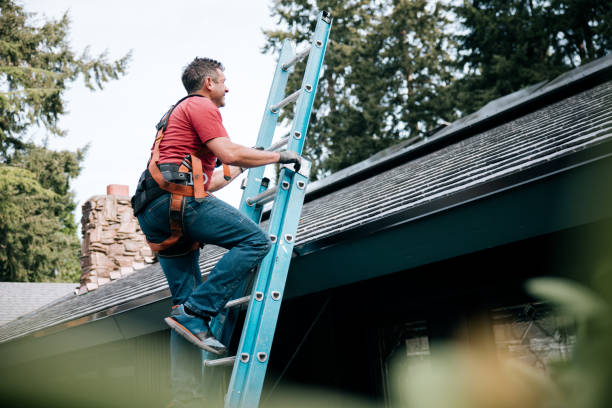 Best Roof Ventilation Installation  in Wray, CO